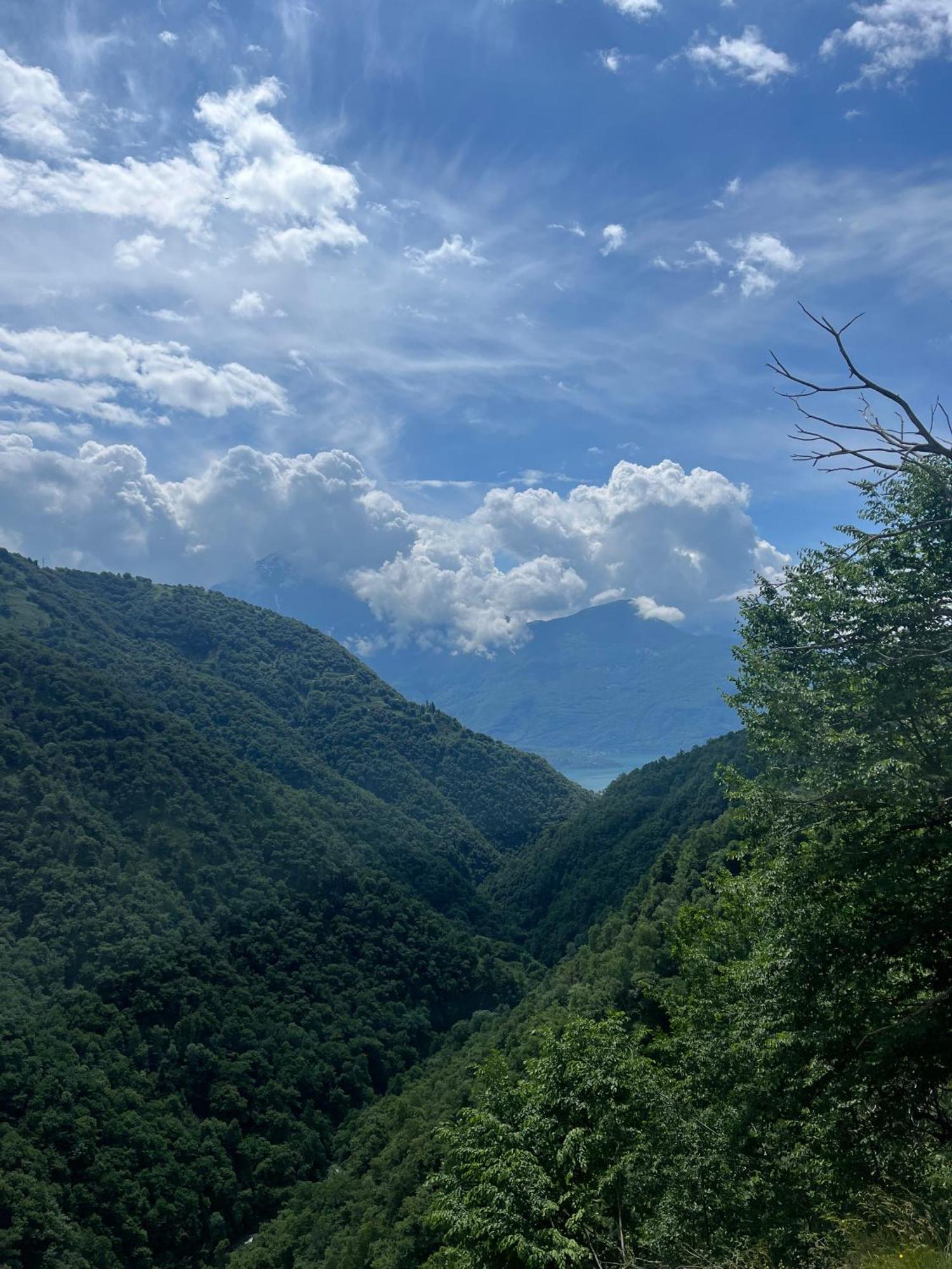 Nymphs Of Lake Como, House Of Harmony - Lake View Apartment 동고 외부 사진